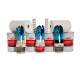 Alfa proteXos Flachdach-Set 20 m² + Zubehör